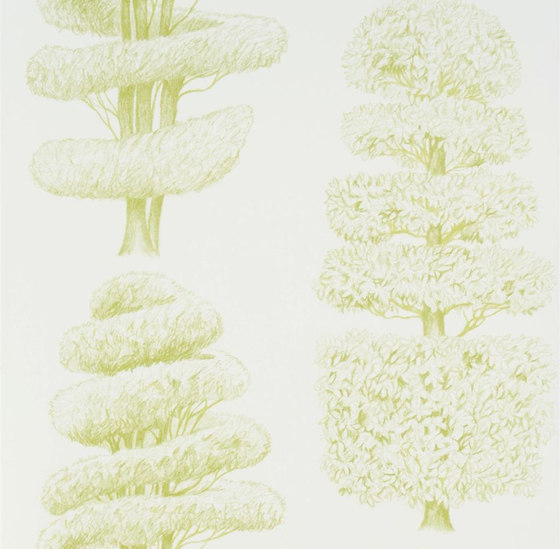 Linnaeus  Wallpaper | Linnaeus - Acacia | Dekorstoffe | Designers Guild