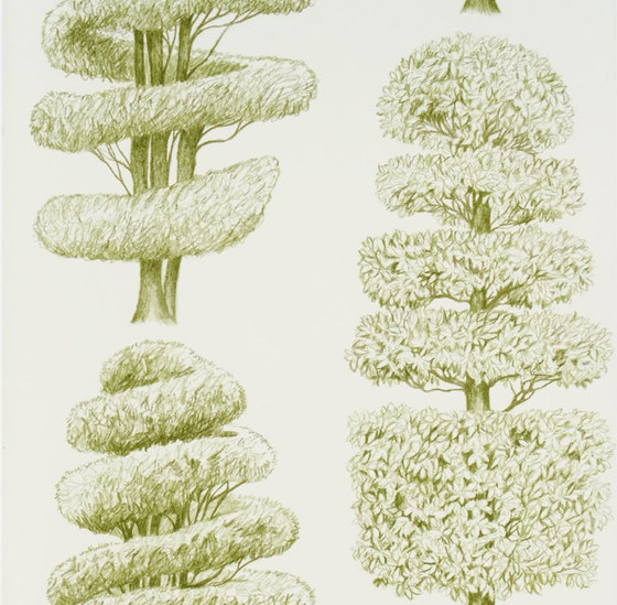 Linnaeus  Wallpaper | Linnaeus - Moss | Drapery fabrics | Designers Guild
