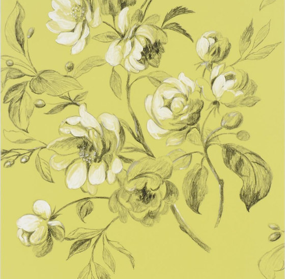 Nabucco Wallpaper | Watelet - Chartreuse | Dekorstoffe | Designers Guild