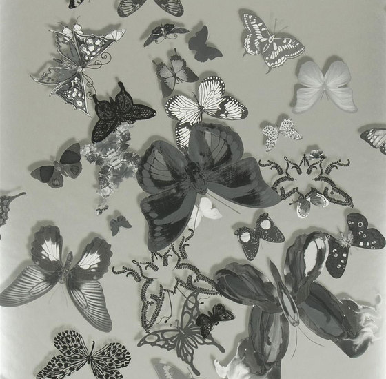 Carnets Andalous Wallpaper | Butterfly Parade - Zinc | Tissus de décoration | Designers Guild