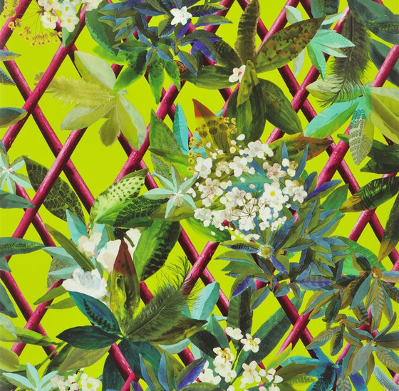 Nouveaux Mondes Wallpaper | Canopy - Lime | Tessuti decorative | Designers Guild