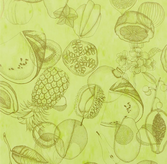 Nouveaux Mondes Wallpaper | Agua Parati - Lime | Dekorstoffe | Designers Guild