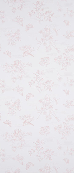Signature Papers Wallpaper | Nature Study Toile - Blossom | Wall coverings / wallpapers | Designers Guild