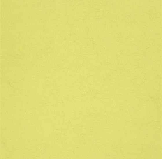 Tsuga Wallpaper | Ernani - Chartreuse | Dekorstoffe | Designers Guild