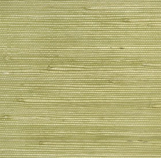 Whitewell Wallpaper | Kelston - Willow (J) | Revêtements muraux / papiers peint | Designers Guild