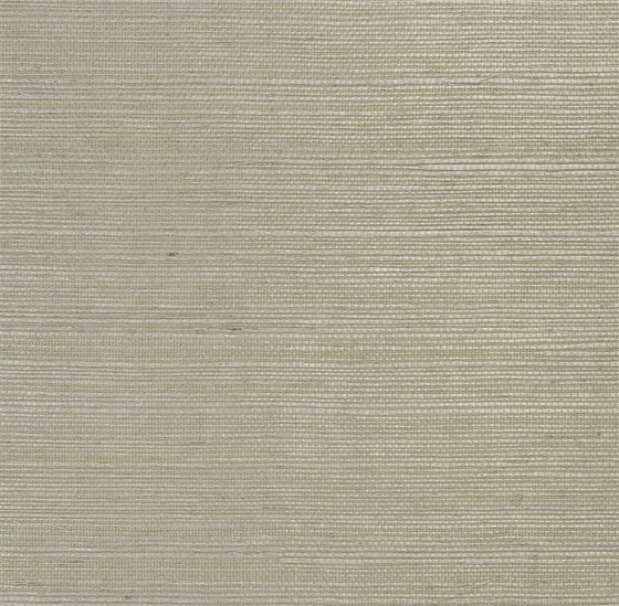 Whitewell Wallpaper | Glynde - Parma | Carta parati / tappezzeria | Designers Guild