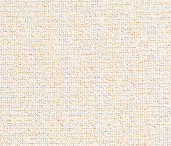Concept 509 - 103 | Wall-to-wall carpets | Carpet Concept