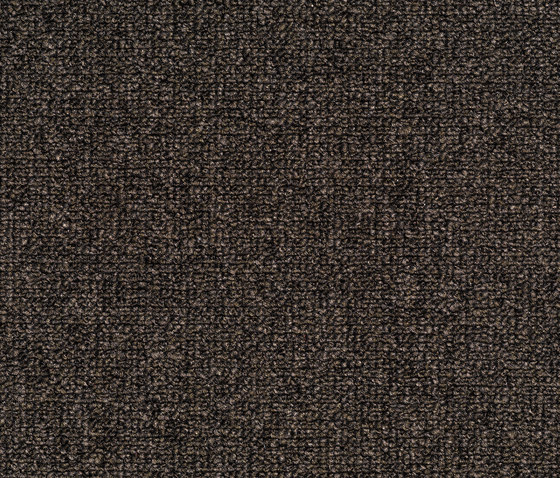 Concept 509 - 189 | Wall-to-wall carpets | Carpet Concept