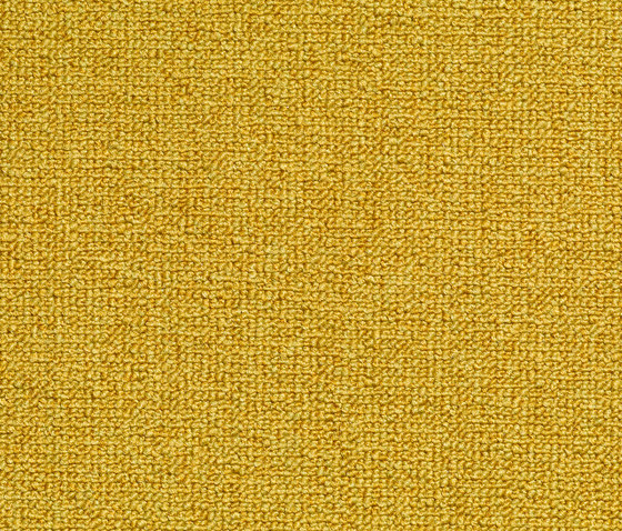 Concept 509 - 202 | Teppichböden | Carpet Concept