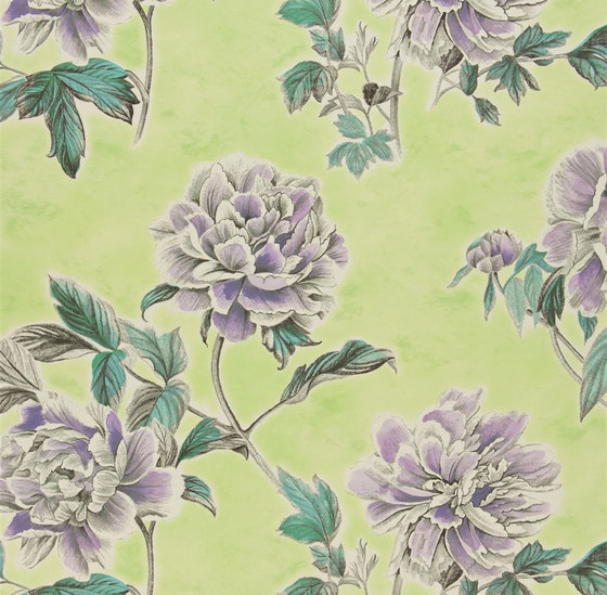 Kaori Fabrics | Kaori - Apple | Tissus de décoration | Designers Guild