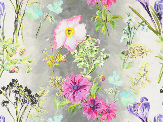 Madhuri Fabrics | Madhuri - Camellia | Tissus de décoration | Designers Guild