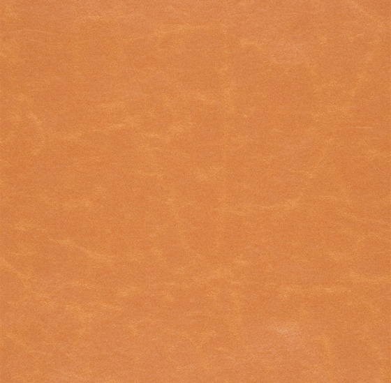 Arizona Fabrics | Arizona - Saffron | Upholstery fabrics | Designers Guild