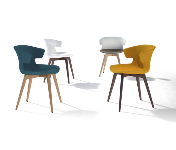 Cove solid wood base | Chairs | Quadrifoglio Group