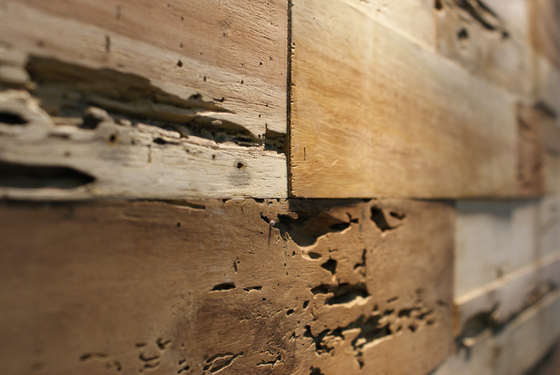RAYAB | Wood panels | Teak Your Wall