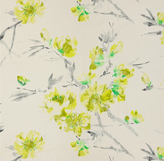 Shanghai Garden Fabrics | Oriental Flower - Acacia | Tissus de décoration | Designers Guild