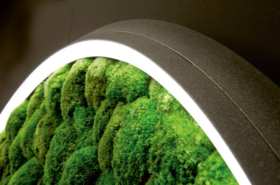 Luce Verde Slim | Wall lights | Sattler