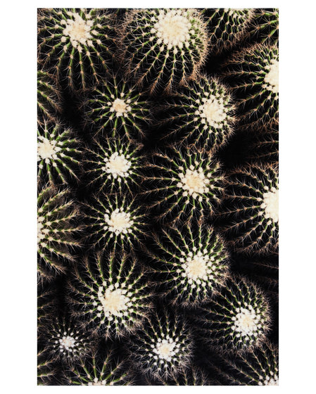 Tropicana | Strandtuch Cactus | Handtücher | Sula World