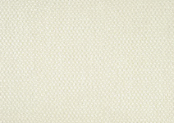 Black And White Fabrics | Glenmore - 01 | Tissus de décoration | Designers Guild