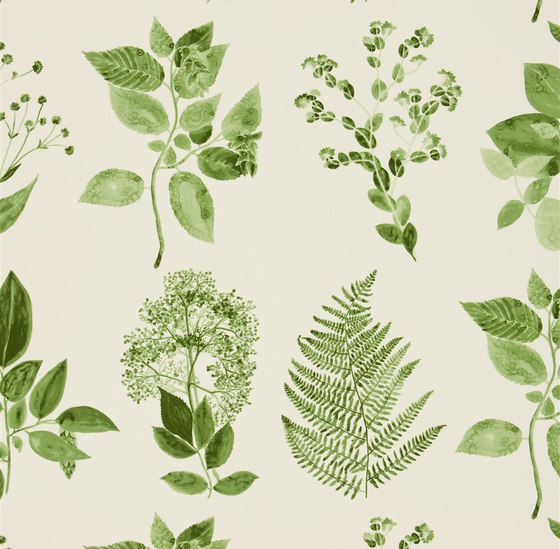 Kaori Fabrics | Jindai - Moss | Tessuti decorative | Designers Guild