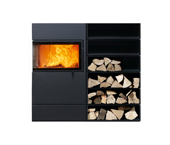 Dexter 2.0 | Fireplace inserts | Austroflamm
