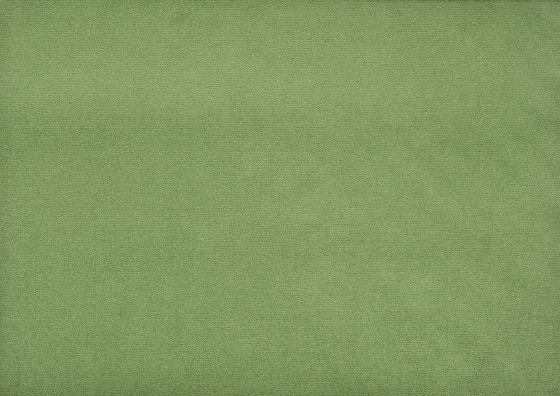 Signature English Riding Velvet Fabrics | Steeplechase Green | Tissus de décoration | Designers Guild