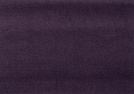 Signature English Riding Velvet Fabrics | Windsor Purple | Tessuti decorative | Designers Guild