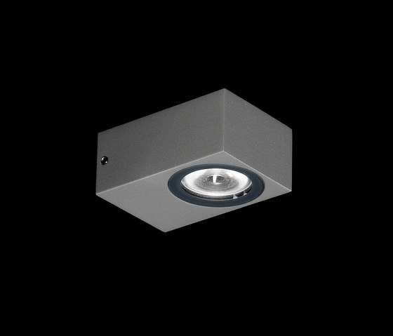 Epsilon Power LED / Narrow Beam 30° | Outdoor wall lights | Ares