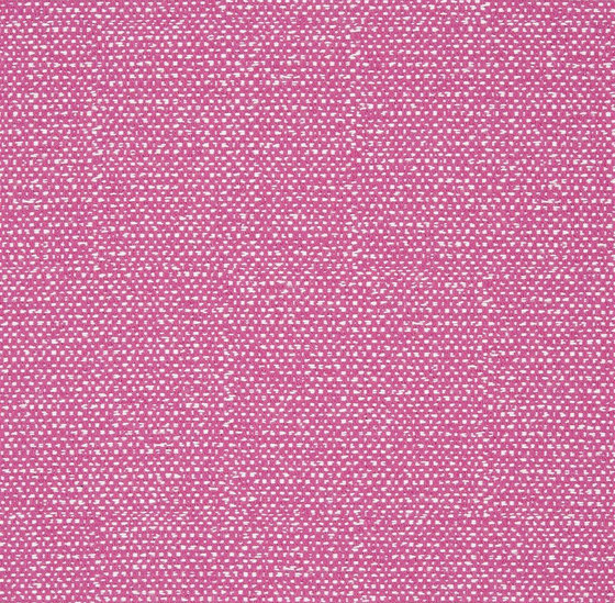 Sloane Fabrics | Sloane - Raspberry | Tissus de décoration | Designers Guild