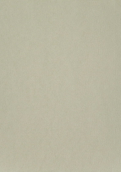 Satinato II Fabrics | Satinato - 1555/06 | Drapery fabrics | Designers Guild