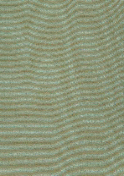 Satinato II Fabrics | Satinato - 1555/12 | Tissus de décoration | Designers Guild