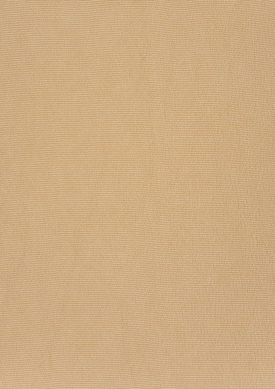 Satinato II Fabrics | Satinato - 1555/21 | Tessuti decorative | Designers Guild