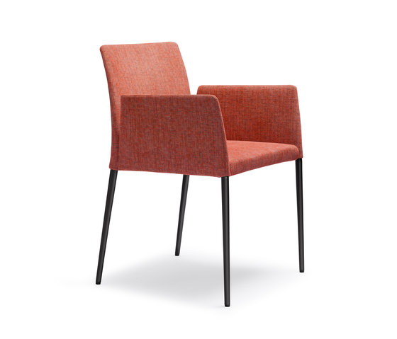 Deen chair with armrests | Sillas | Walter K.