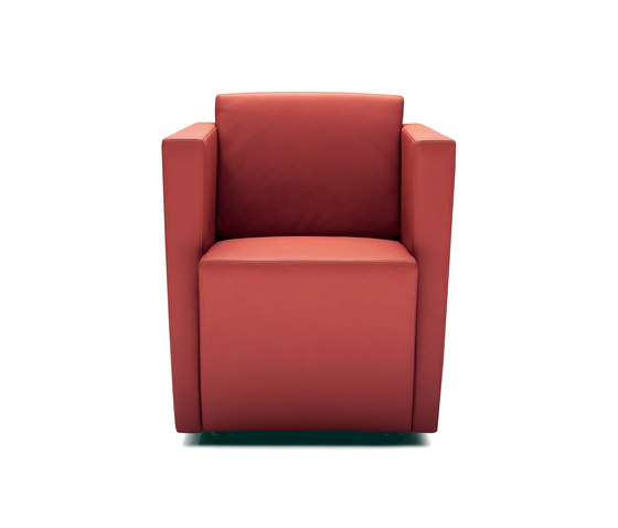 Elton armchair | Armchairs | Walter K.