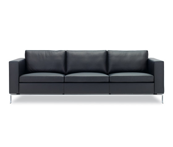 Foster 503 sofa | Sofas | Walter K.