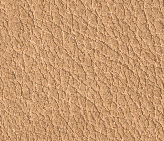 Gusto Sabbia | Cuir naturel | Alphenberg Leather