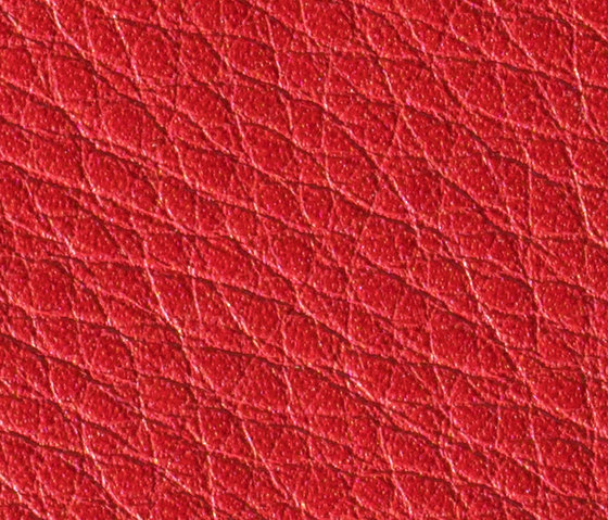 Gusto Rose | Cuir naturel | Alphenberg Leather