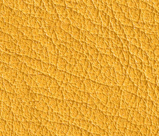 Gusto Bee | Vero cuoio | Alphenberg Leather
