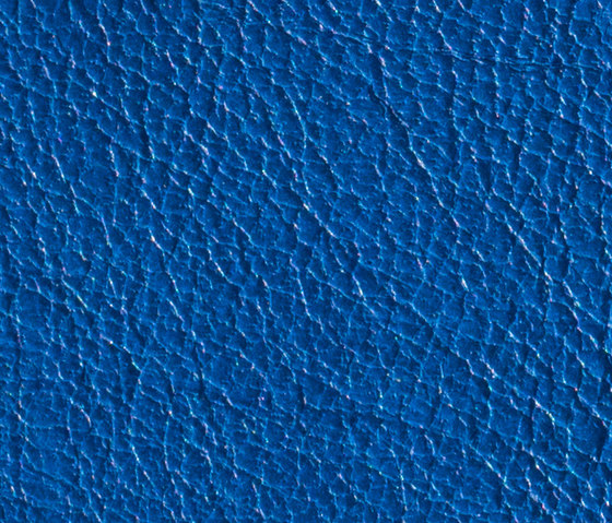 Gusto Blue | Naturleder | Alphenberg Leather