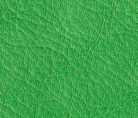 Gusto Green | Cuero natural | Alphenberg Leather