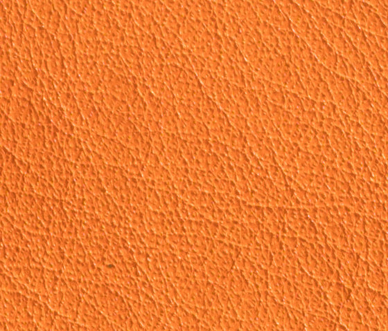 Gusto Orange | Vero cuoio | Alphenberg Leather