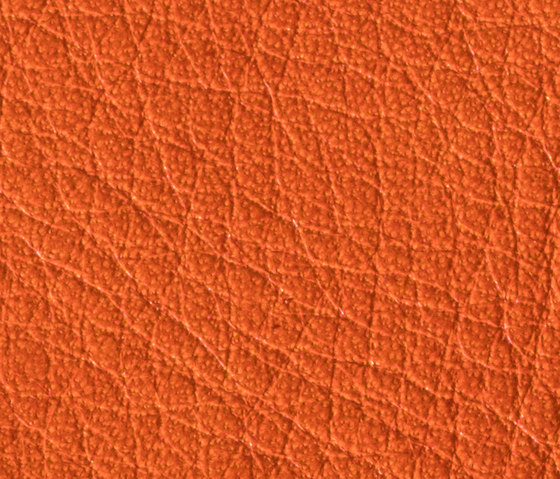 Gusto Pumpkin | Cuero natural | Alphenberg Leather