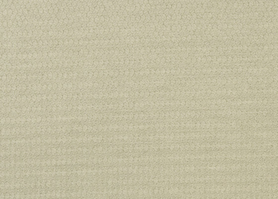 Moray Fabrics | Ellon - Platinum | Tessuti decorative | Designers Guild