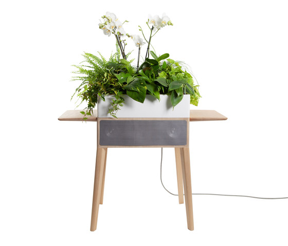 Bloombox | Vasi piante | Greenworks