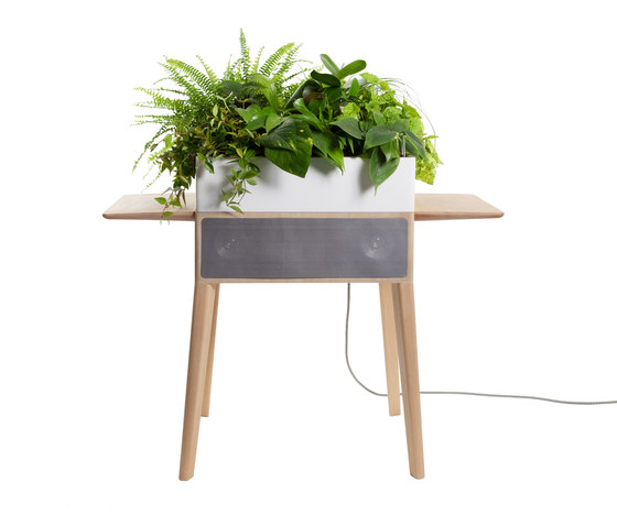 Bloombox | Plant pots | Greenworks