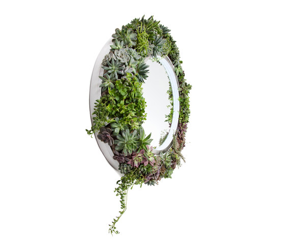 Plant Mirror | Miroirs | Greenworks