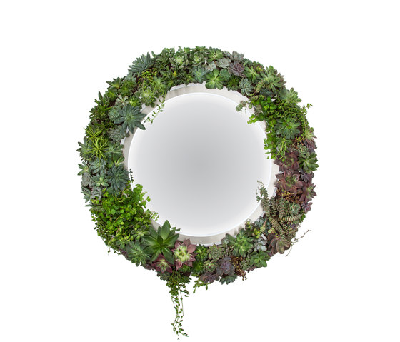 Plant Mirror | Mirrors | Greenworks