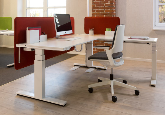 Winea X | Tischpaneel | Schalldämpfende Tischsysteme | WINI Büromöbel