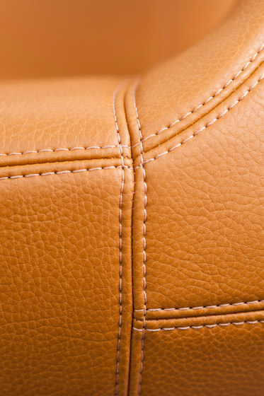Seaser Leather, Lounge Sessel | Sessel | Lonc