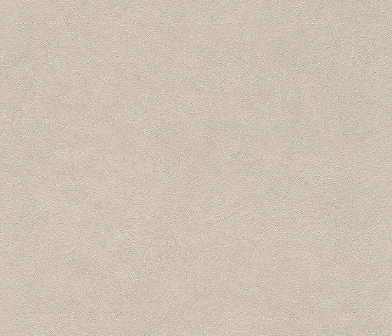 Wall Textures III 424218 | Tessuti decorative | Rasch Contract