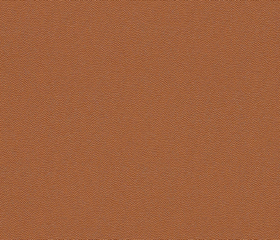 Wall Textures III 576009 | Tessuti decorative | Rasch Contract